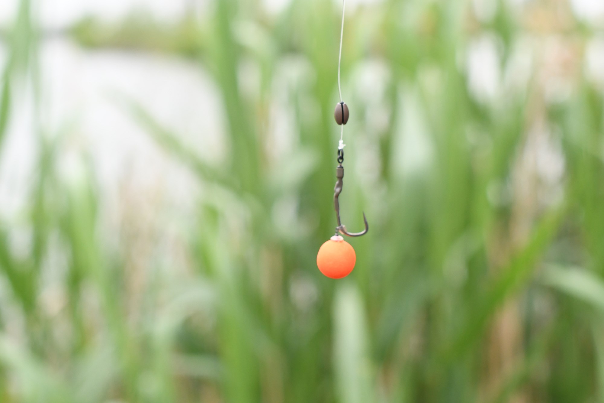 New Lake Lazuri 5 18 - 21 mai 2023 - DSC8511.jpg